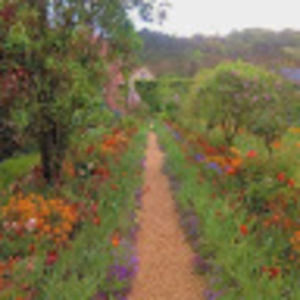 Meet your Posher, Mia